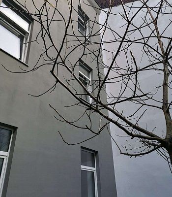         45879 Gelsenkirchen - Stadtmitte, 463 m² (  280 2)
