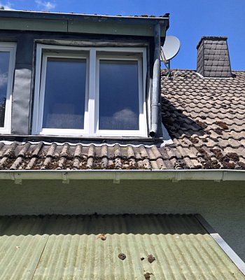 ��� ������� � �������� � 52152 Simmerath - Dedenborn, 345 �2 (������� 864 m²)
